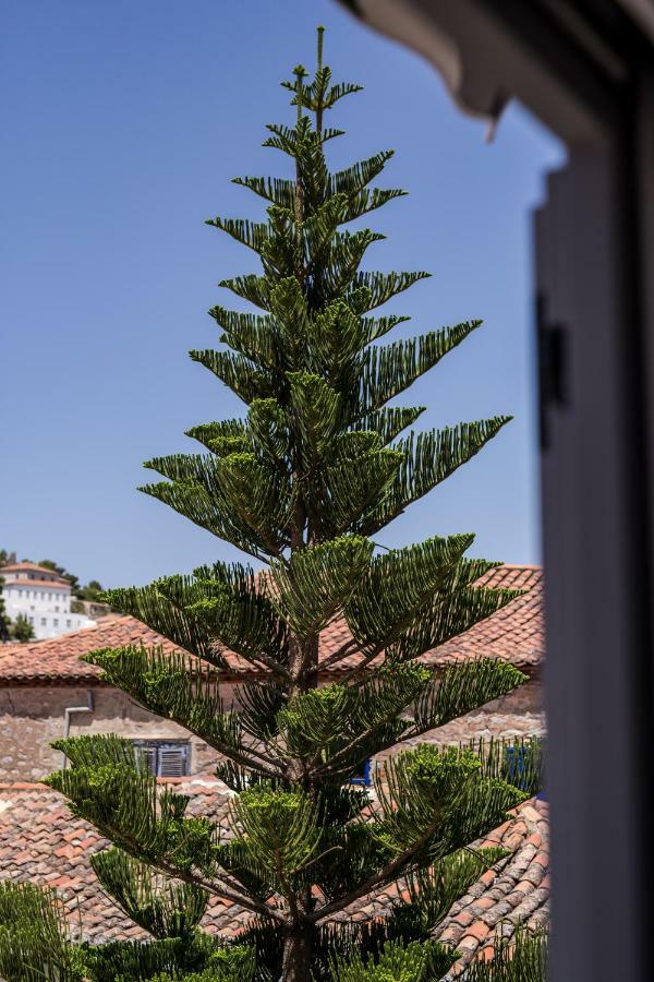 Arokaria Boutique Apartments Hydra  Exteriör bild